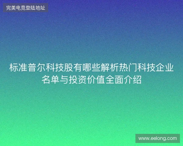 标准普尔科技股有哪些解析热门科技企业名单与投资价值全面介绍